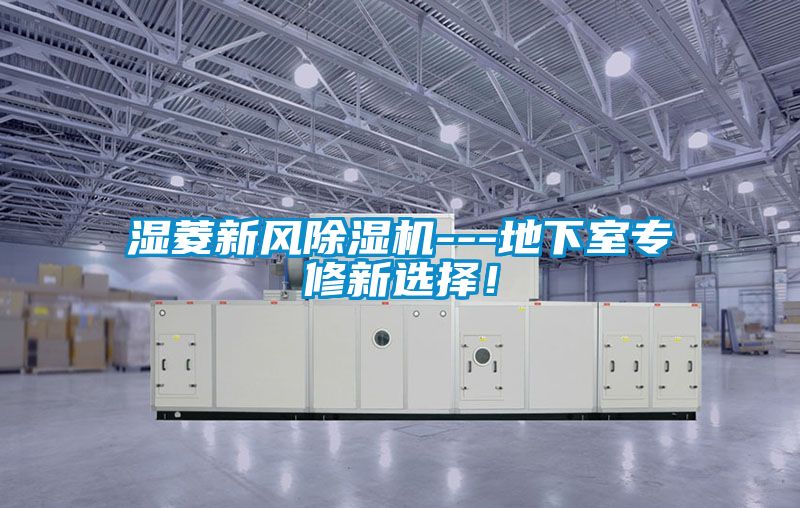 濕菱新風除濕機---地下室專修新選擇！