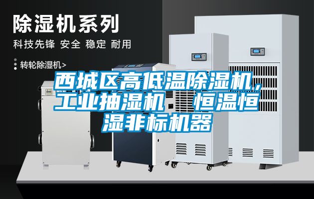 西城區高低溫除濕機,工業抽濕機 恒溫恒濕非標機器