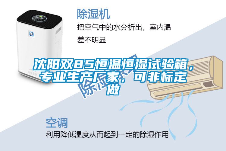 沈陽雙85恒溫恒濕試驗箱，專業(yè)生產(chǎn)廠家，可非標定做