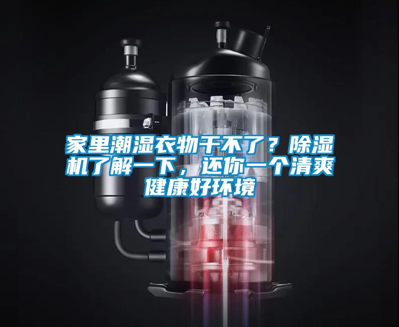 家里潮濕衣物干不了？除濕機了解一下，還你一個清爽健康好環(huán)境