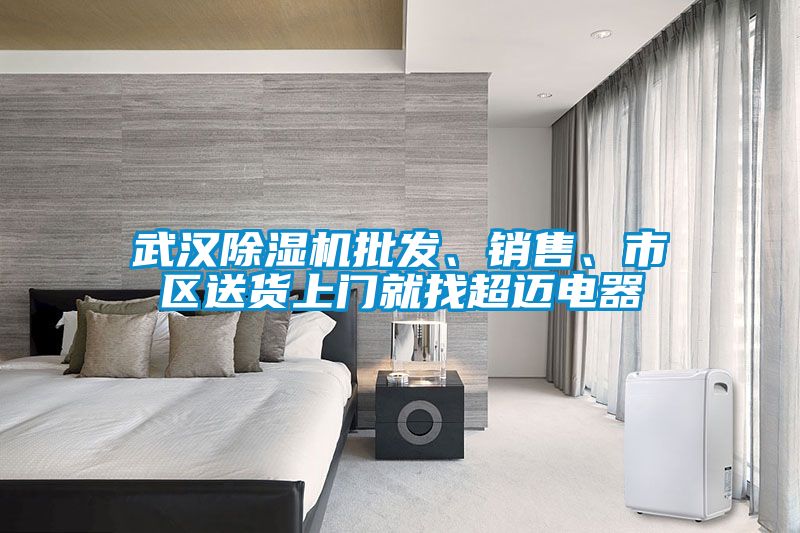 武漢除濕機(jī)批發(fā)、銷售、市區(qū)送貨上門就找超邁電器