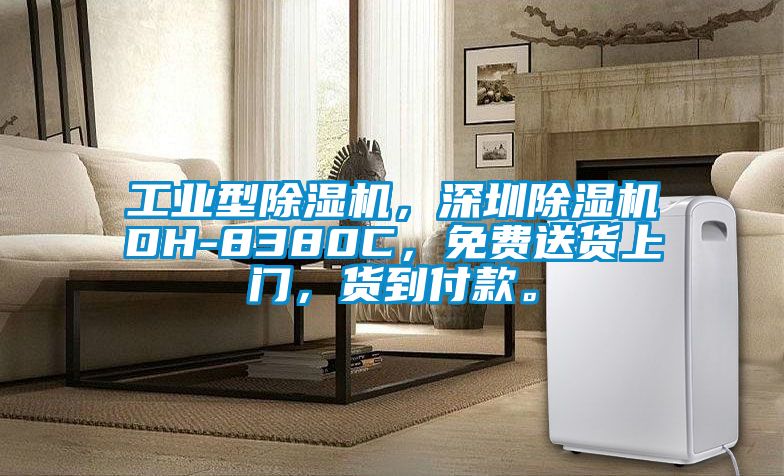 工業型除濕機，深圳除濕機DH-8380C，免費送貨上門，貨到付款。