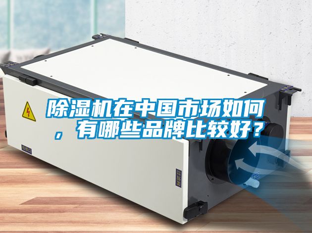 除濕機在中國市場如何，有哪些品牌比較好？