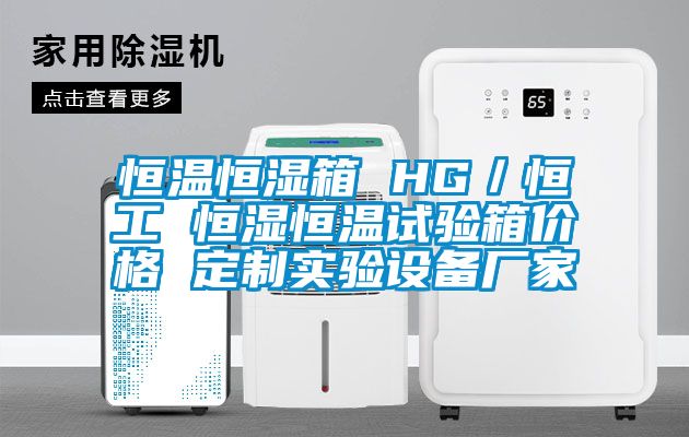 恒溫恒濕箱 HG/恒工 恒濕恒溫試驗箱價格 定制實驗設備廠家