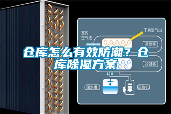 倉(cāng)庫(kù)怎么有效防潮？倉(cāng)庫(kù)除濕方案