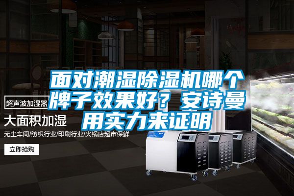 面對潮濕除濕機哪個牌子效果好？安詩曼用實力來證明