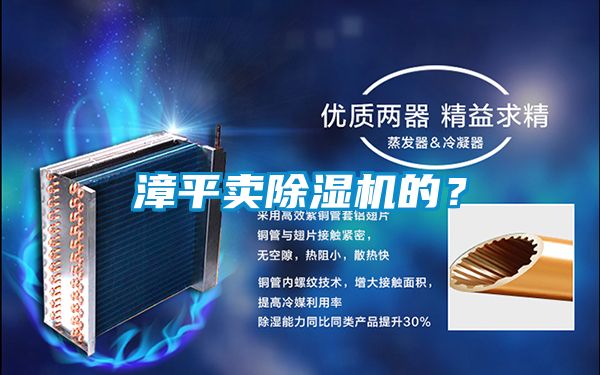 漳平賣除濕機的?