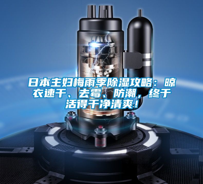 日本主婦梅雨季除濕攻略：晾衣速干、去霉、防潮，終于活得干凈清爽！