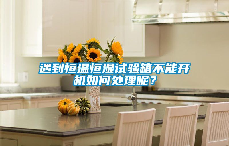 遇到恒溫恒濕試驗(yàn)箱不能開機(jī)如何處理呢？