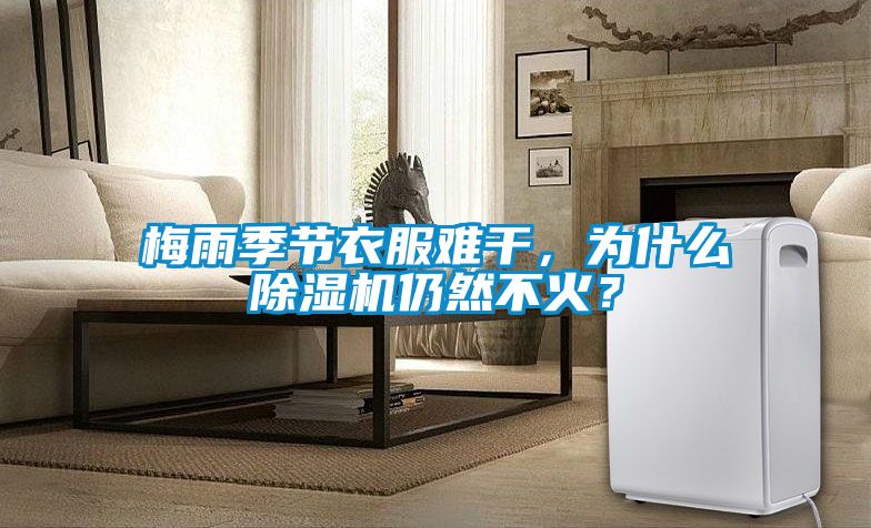 梅雨季節衣服難干，為什么除濕機仍然不火？