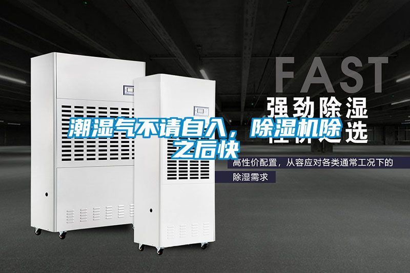 潮濕氣不請自入，除濕機除之后快