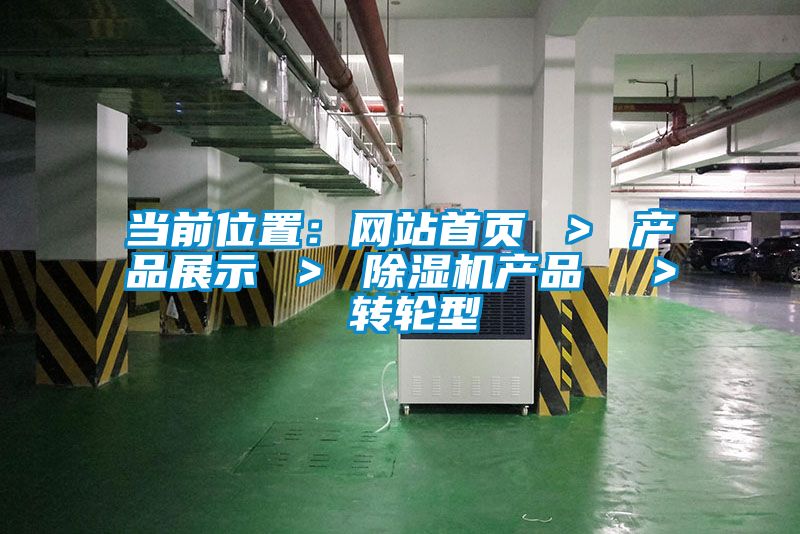 當(dāng)前位置:網(wǎng)站首頁(yè) > 產(chǎn)品展示 > 除濕機(jī)產(chǎn)品 > 轉(zhuǎn)輪型