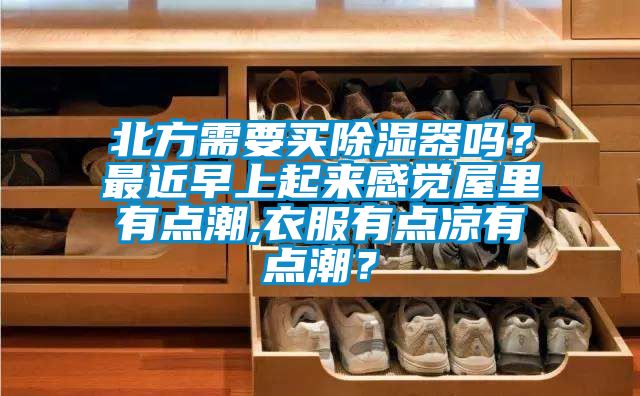 北方需要買除濕器嗎？最近早上起來感覺屋里有點潮,衣服有點涼有點潮？